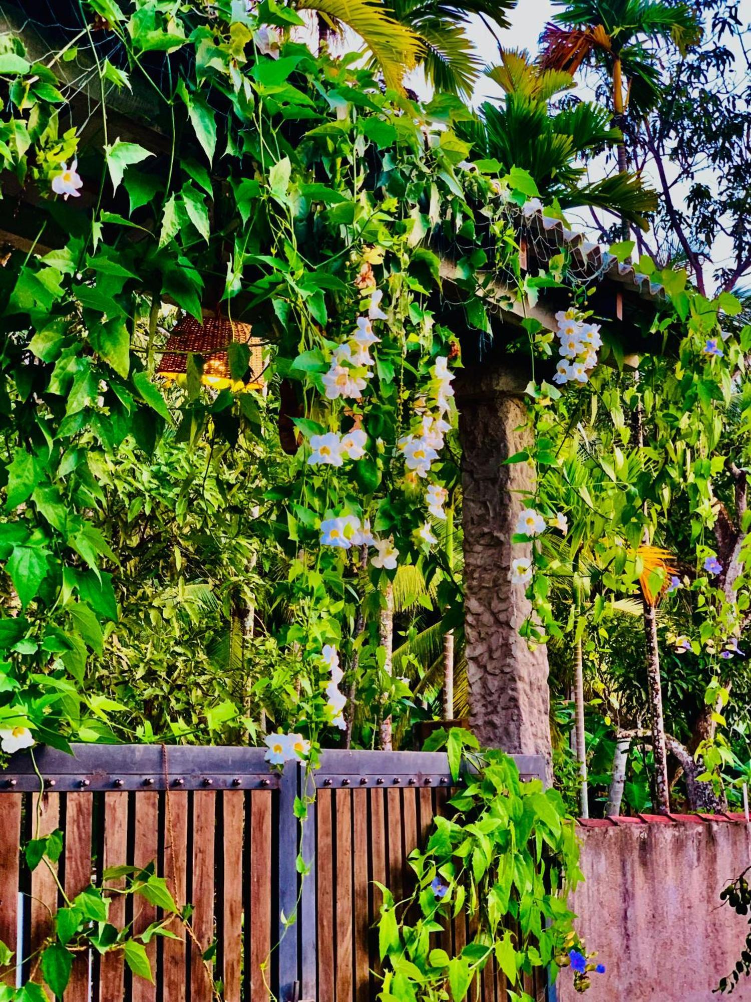 Ashok Villa Weligama Ngoại thất bức ảnh