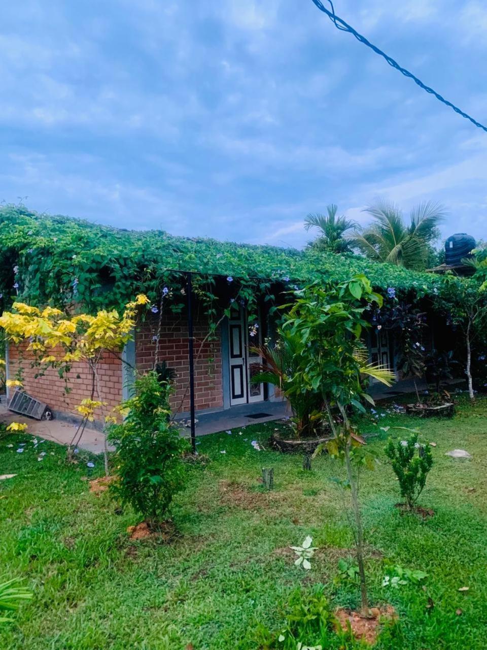 Ashok Villa Weligama Ngoại thất bức ảnh
