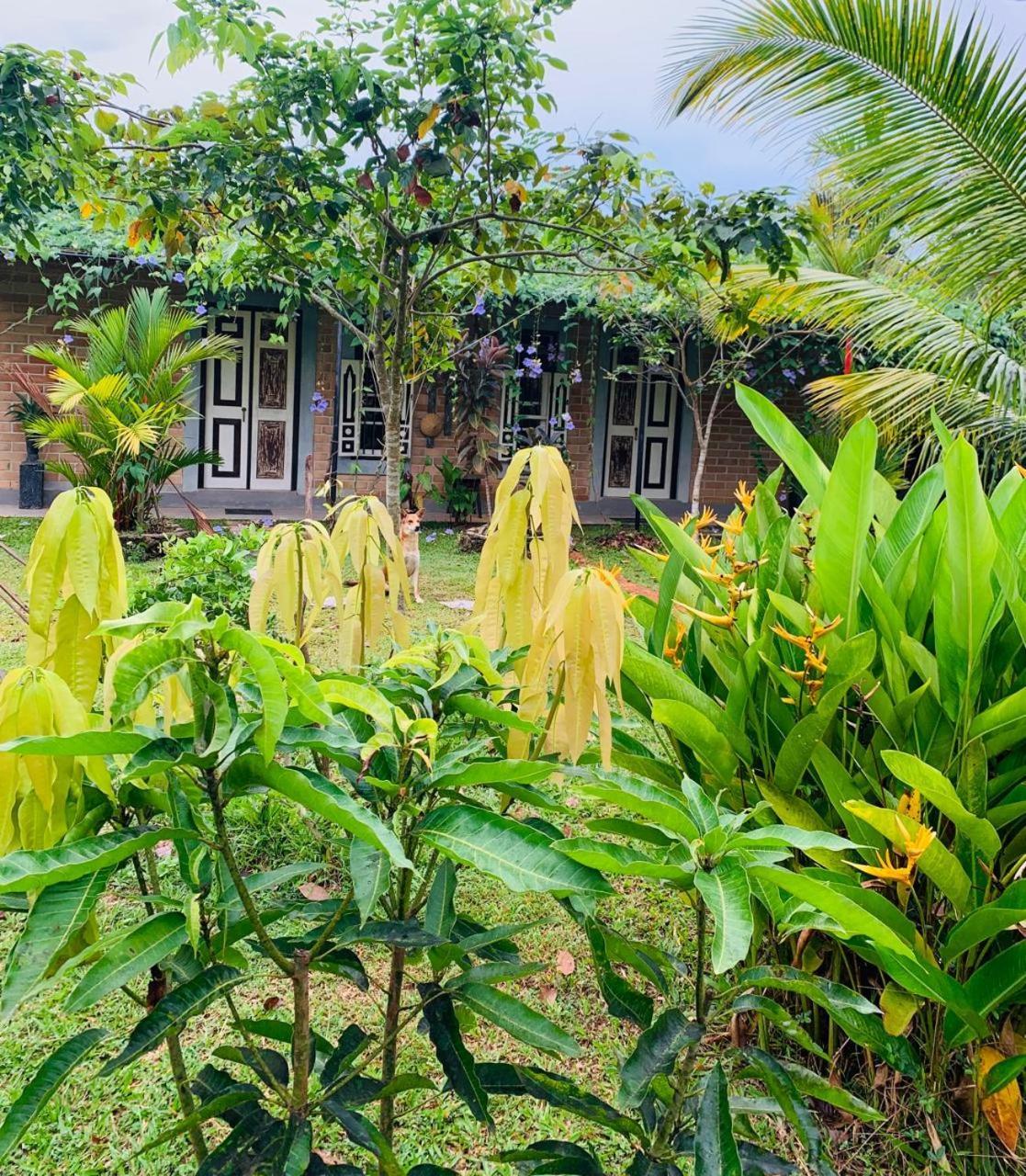 Ashok Villa Weligama Ngoại thất bức ảnh