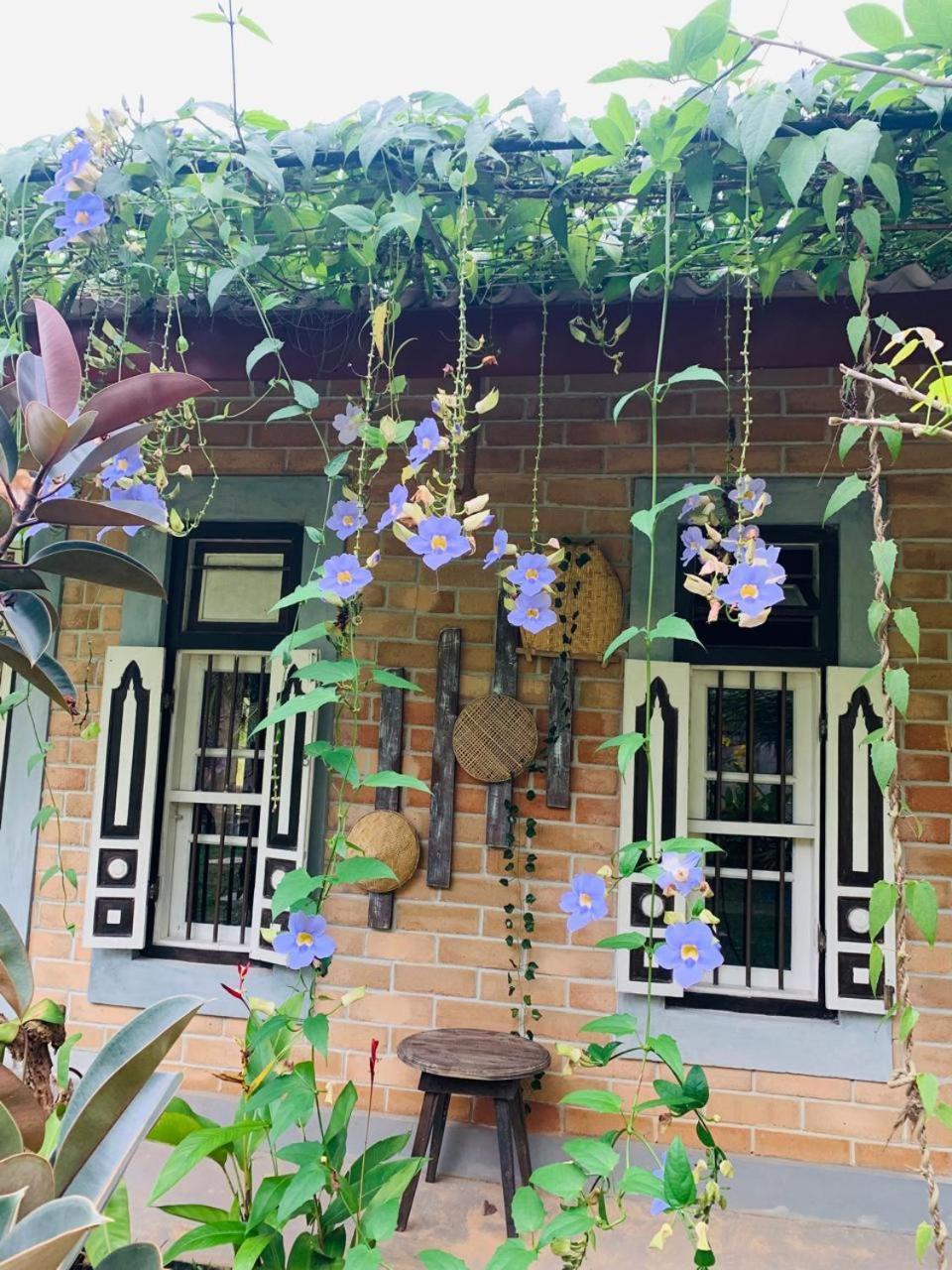 Ashok Villa Weligama Ngoại thất bức ảnh
